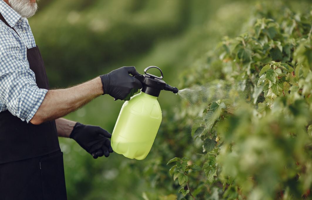 Orkin Bed Bug Treatment Cost! YLPC