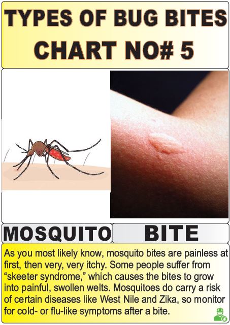 types of bug bites chart