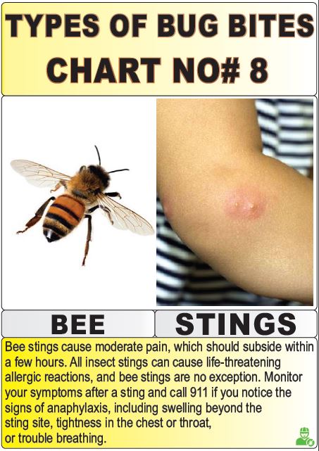 types of bug bites chart