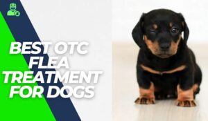 best otc flea treatment for dogs