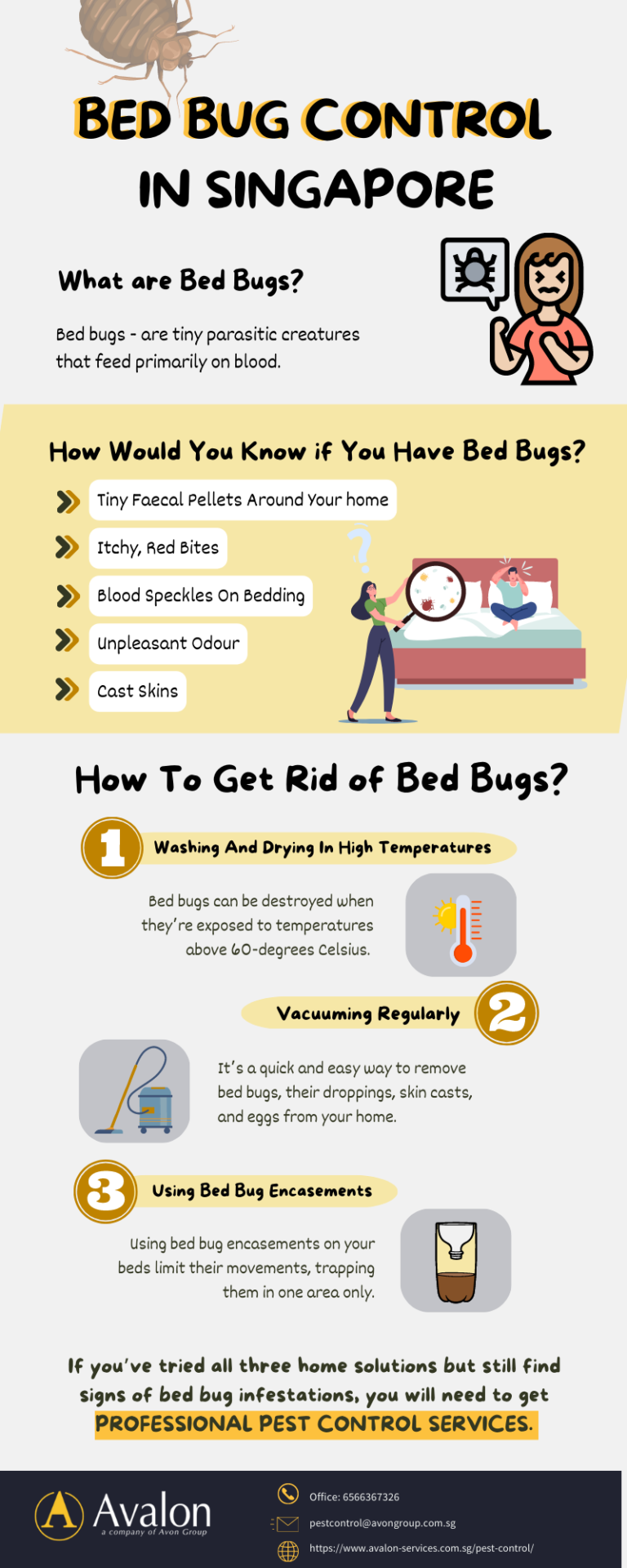 Best Way to Get Rid of Bed Bugs!