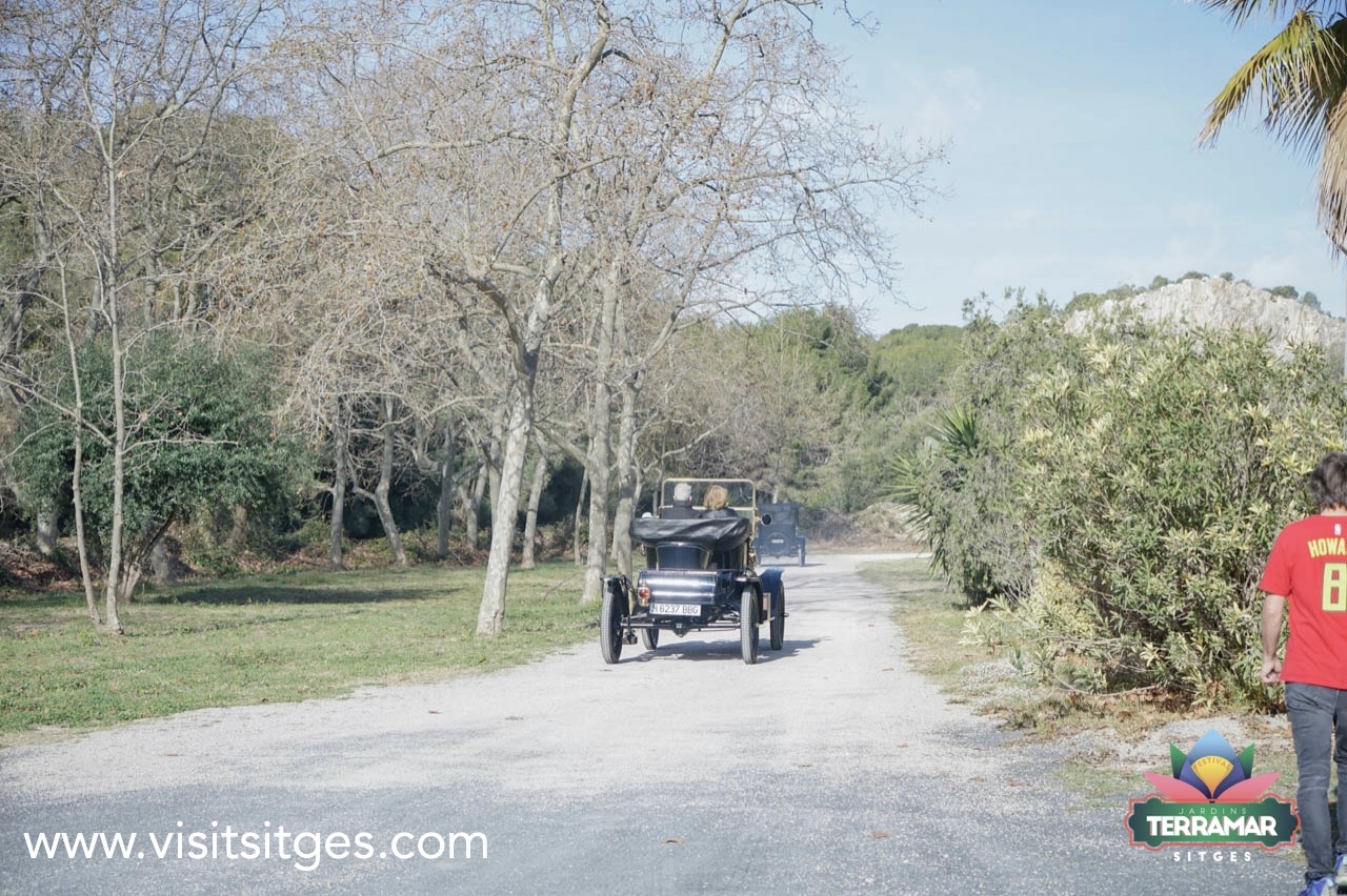 Top 7 Pictures Of Chigger Bites Y L P C vrogue.co